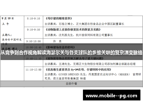 从竞争到合作视角解读海瑟尔关与各支球队的多维关联的复杂演变脉络