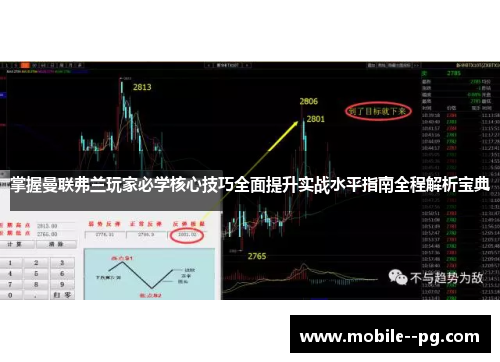 掌握曼联弗兰玩家必学核心技巧全面提升实战水平指南全程解析宝典