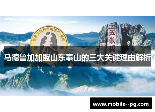 马德鲁加加盟山东泰山的三大关键理由解析