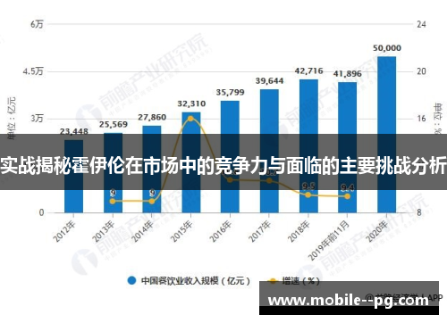 实战揭秘霍伊伦在市场中的竞争力与面临的主要挑战分析