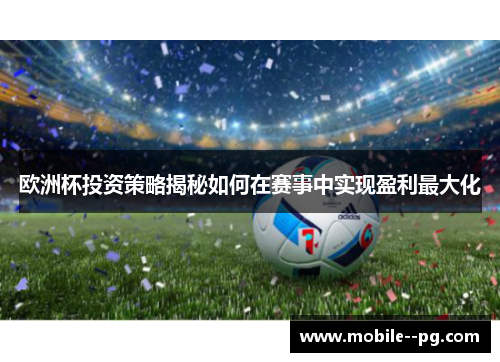 欧洲杯投资策略揭秘如何在赛事中实现盈利最大化