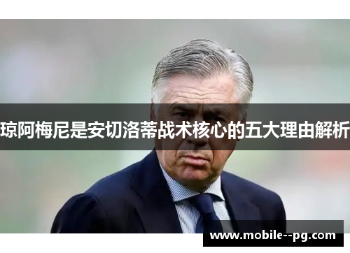 琼阿梅尼是安切洛蒂战术核心的五大理由解析