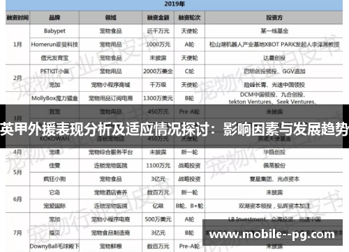 英甲外援表现分析及适应情况探讨：影响因素与发展趋势