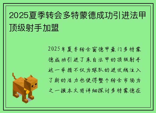 2025夏季转会多特蒙德成功引进法甲顶级射手加盟
